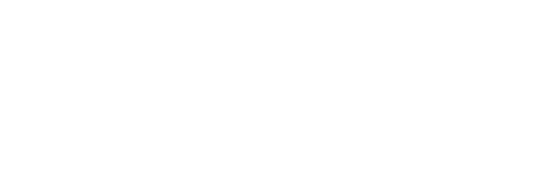 Gilmore Insurance and Bonding Inc - Logo 800 White